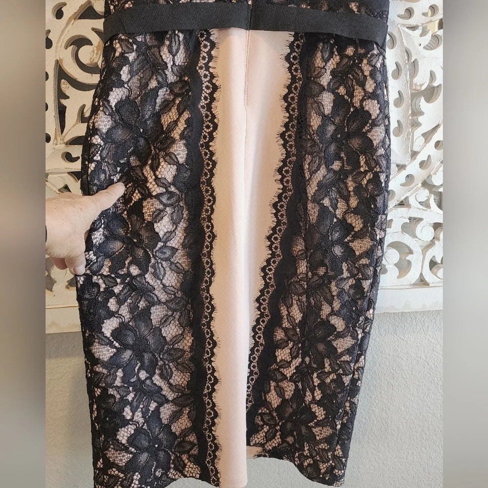 TADASHI SHOJI SHEATH LACE STRAPLE DRESS BLACK & NUDE TONE SIZE 2 - Picture 11 of 13